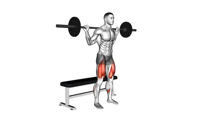 اسکات با هالتر روی نیمکت