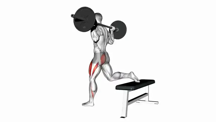 اسکات تک پا با هالتر