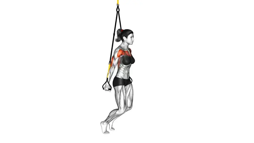 دیپ سینه با کمک TRX