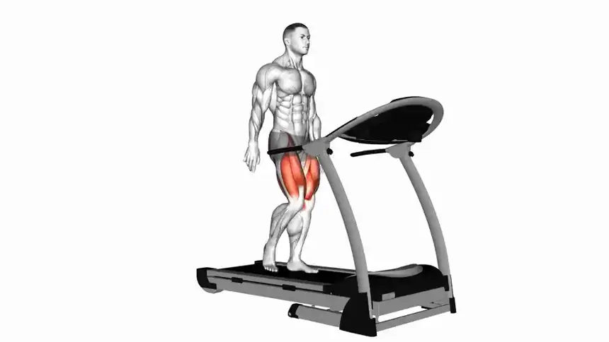 پیاده روی روی تردمیل