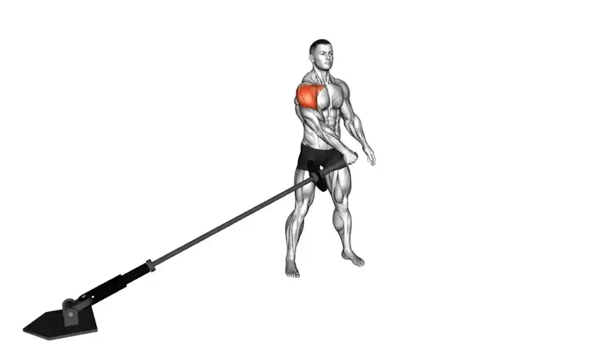 نشر از جانب با لندماین
