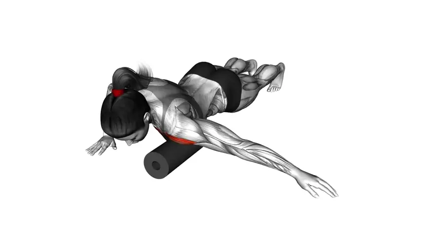 فوم رولینگ شانه جلویی و سینه درازکش