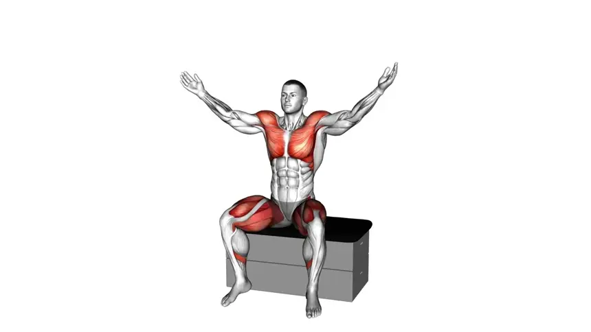 جک نشسته روی چهارپایه نرم
