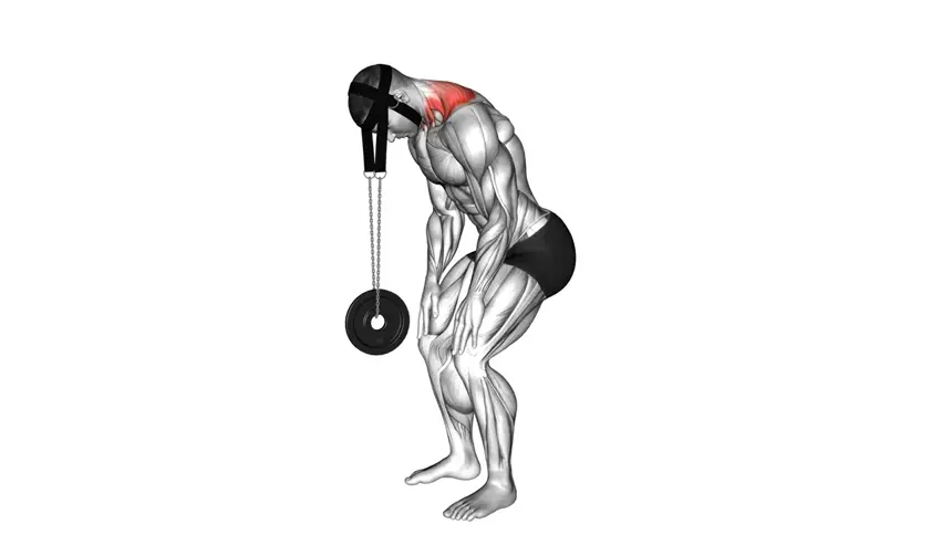 اکستنشن گردن ایستاده وزنه‌دار با هارنس